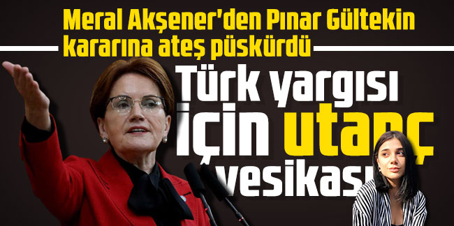 Türk yargısı için utanç vesikası