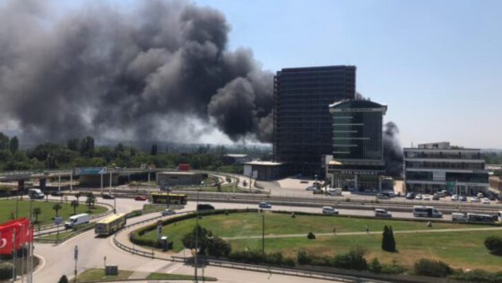 Yalova Yolu’nda korkutan yangın!