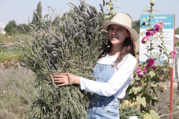 NİLÜFER’İN TIBBİ – AROMATİK BİTKİ İŞLEME TESİSİ PROJESİNE BEBKA’DAN HİBE