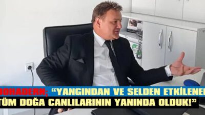 500 hayvan kurtarıp tedaviye getirdiler