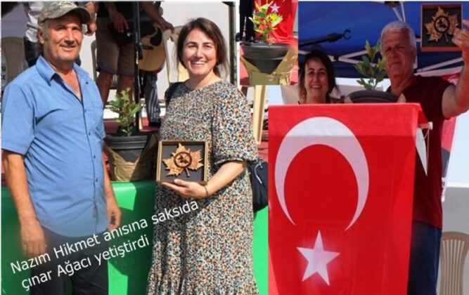 Nazım hikmet anısına saksıda çınar ağacı yetiştirdi.