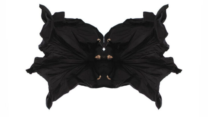 MEHMET TURGUT’UN “RORSCHACH, ART IS INSANE” NFT KOLEKSİYONU İLK KEZ SEED.Photo LANSMANI’NDA SERGİLENDİ!