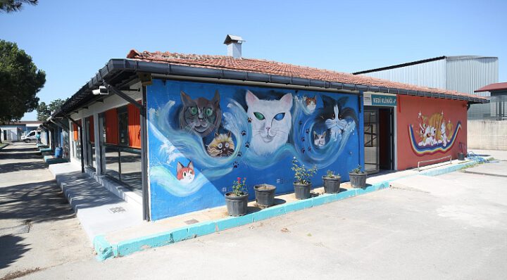 NİLÜFER’DE HASTA VE YARALI SOKAK KEDİLERİNE DONANIMLI KLİNİK