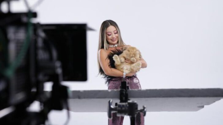 Ünlü sanatçının klibinde uluslararası ödüllü tavşan klip yıldızı oldu
