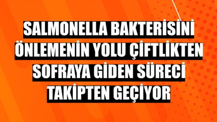 Salmonella tehdidini önlemenin yolu çiftlikten sofraya giden süreci takipten geçiyor