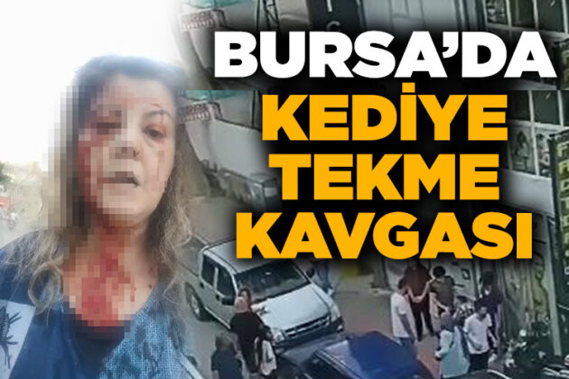 Kediye tekme kavgası kanlı bitti!