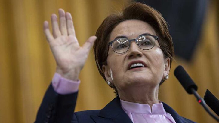 Akşener’den Akkuyu tepkisi