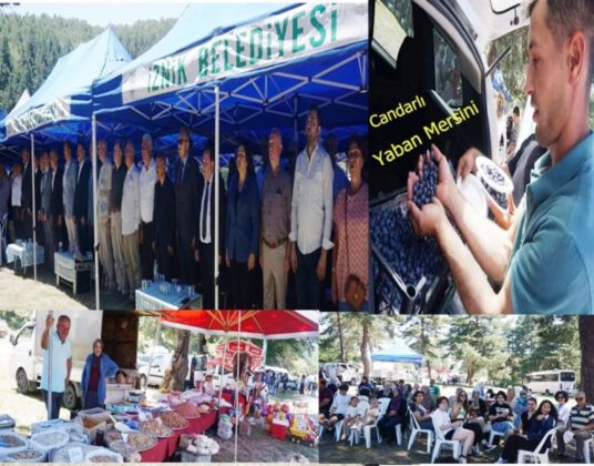 MAVİYEMİŞ FESTİVALİNİN İKİNCİSİ GERÇEKLEŞTİ