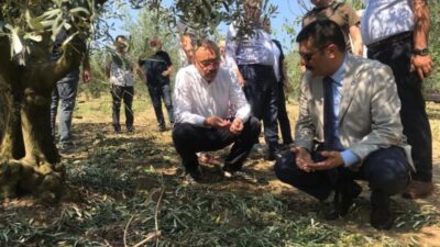 TATLIOĞLU; Devlet Çiftçinin Zararını Karşılamalı!