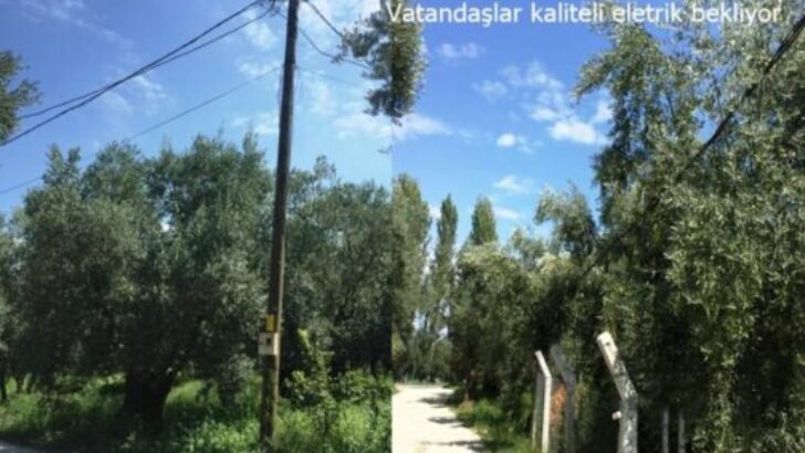 UEDAŞ YETKİLİLERİNDEN KALİTELİ ELETRİK TALEBİMİZ VAR