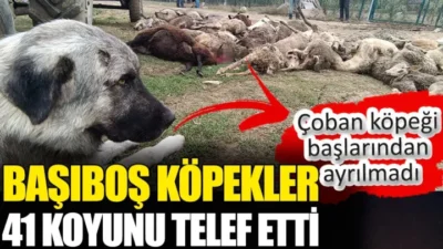 Millet İttifakı’ndan Nilüfer’deki Aileye Taziye Ziyareti!