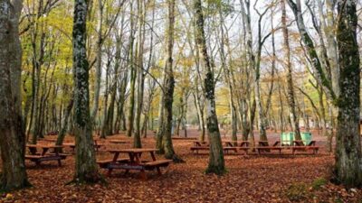Macrocenter, sonbaharın gelişini konuklarıyla birlikte Belgrad Ormanı’nda kutladı