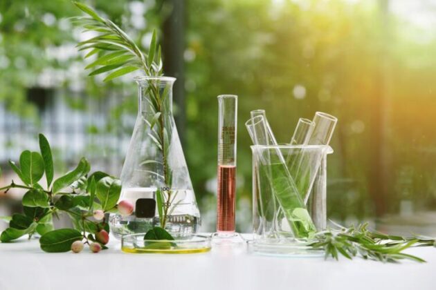 Sürdürülebilir yaşam trendi vegan kozmetik ürünlere talebi artırıyor