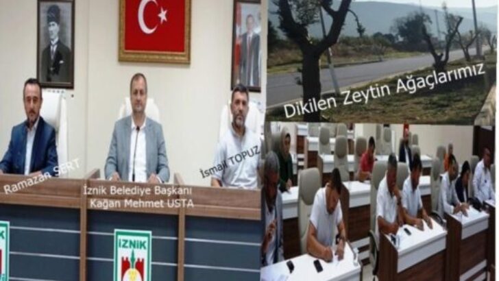 İLÇEMİZİN SİMGESİ KARAELMAS ZEYTİN