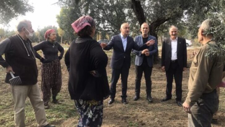 TATLIOĞLU; “Zeytin Üreticilerinin Derdine Derman Olacağız!”