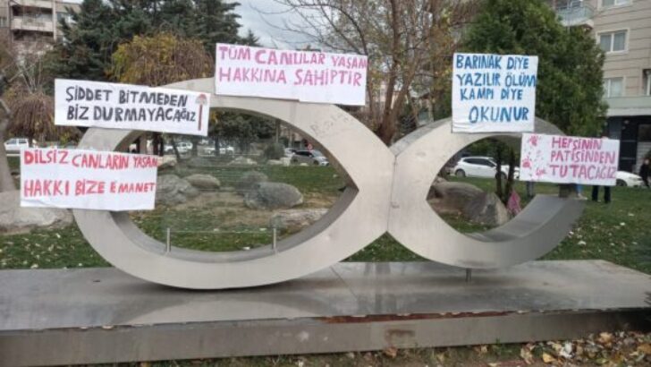 Bursa Hayvanseverleri Ortak Akıl Platformu; “Onlarında Yaşamaya Hakları Var!”