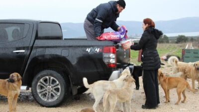 KIRSALDAKİ CAN DOSTLARA GÖNÜLLÜ DESTEK