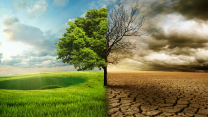 ‘’Küresel ısınmaya karşı önlem almak için artık çok geç!’’