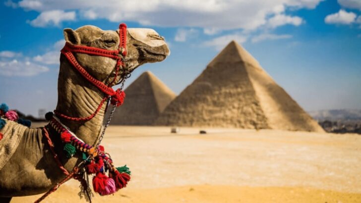 Prontotour rekor hedefle Mısır’a charter uçuşları başlattı