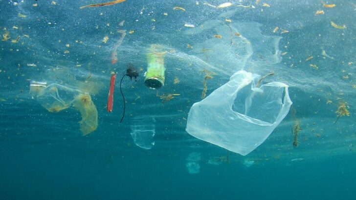 TÜBİTAK, akademisyenlerin mikroplastiklere dair önerdiği projeyi 32 ay destekleyecek