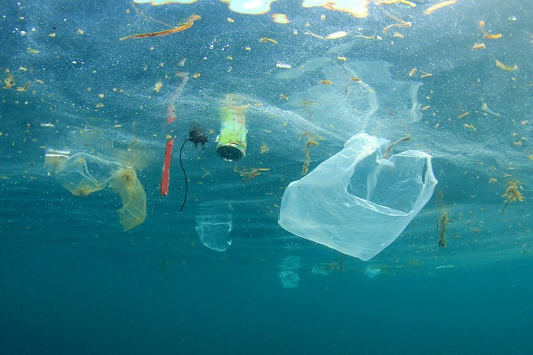 TÜBİTAK, akademisyenlerin mikroplastiklere dair önerdiği projeyi 32 ay destekleyecek