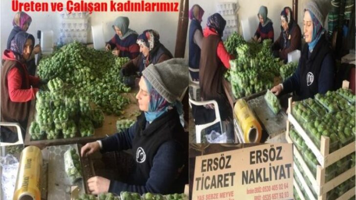 ÜRETEN VE ÇALIŞKAN KADINLAR