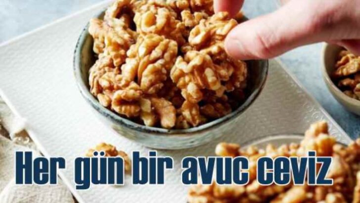 Beslenme Düzenine Sadece Bir Avuç Ceviz Eklemek Tüm Aile İçin Faydalar Doğurabilir