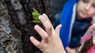 Toprak Okulları  Şenliği Başlıyor