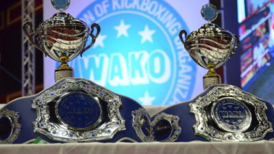 Kickboks Dünya Şampiyonasında Nilüfer Spor Kulübü Damga Vurdu! Şampiyonlar Bursa’dan!