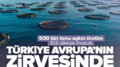 Türkiye, 103 ülkeye su ürünleri ihracatı yapıyor