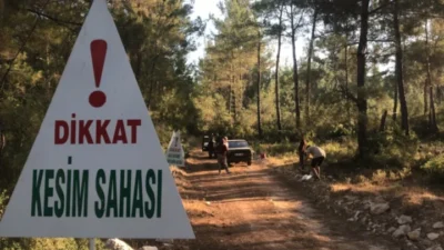 İbrahim Ortaş yazdı; Muğla’nın Akbelen Köylüleri Doğaya Sahip Çıkıyorlar. Yanlarındayız!