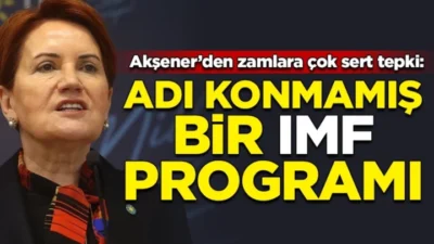 “Adı konmamış IMF programı uygulanıyor”