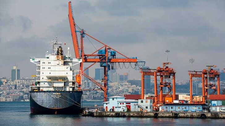 Türk teknoloji şirketinden ithalat ve ihracata çözüm sunan E-Ticaret ekosistemi