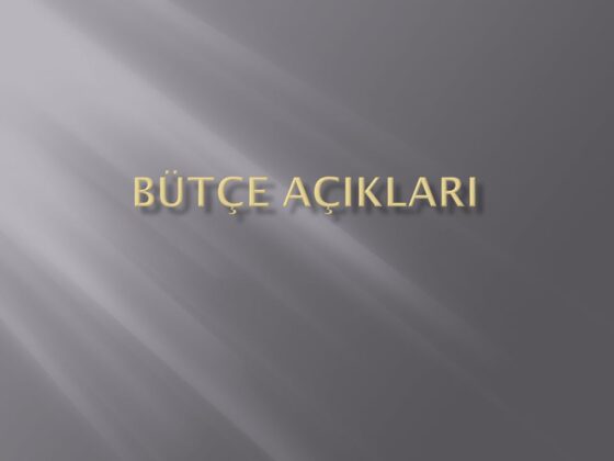 Hakan Kavurmacı yazdı; Bütçe açıklarını kapamanın formülü…