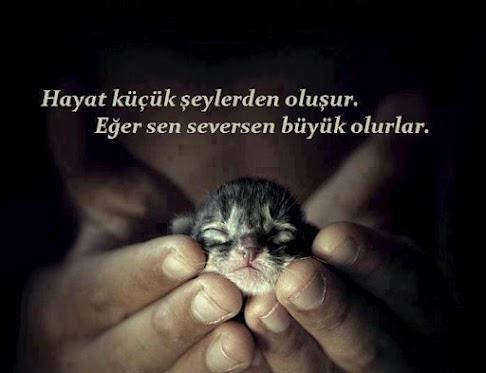 İbrahim Ortaş yazdı; Küçük Şeylerle Mutlu Olmak Yeterli mi?