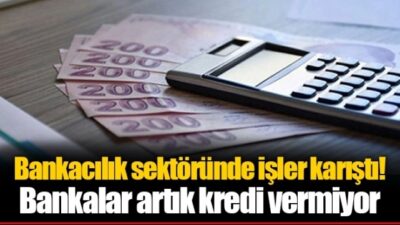 Kamu bankaları kredi vermiyor