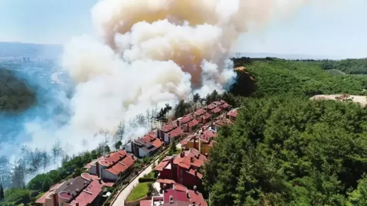 Biaport Mudanya’da faciadan kıl payı dönüldü