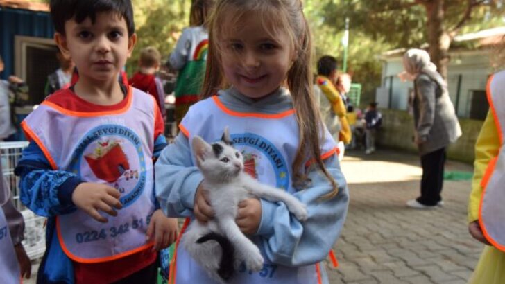 YILDIRIM’DA SOKAK HAYVANLARI EMİN ELLERDE