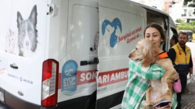 Sokak Hayvanları Ambulansı mahallelerde