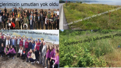 DİKERSENİZ DEĞİL BAKARSANIZ YETİŞİR .(ıı)