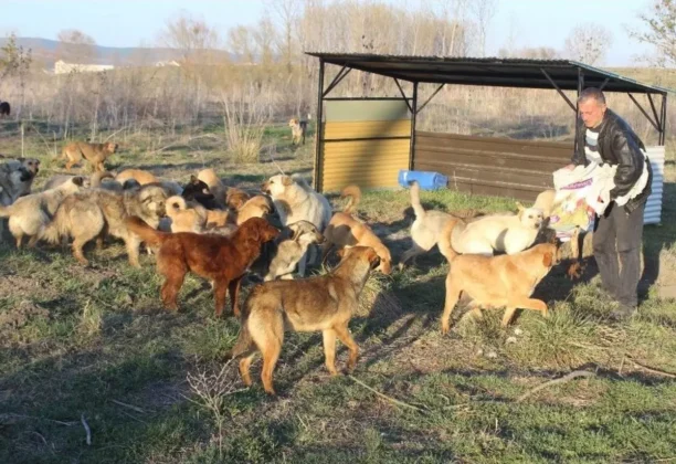DEMİRAT; Toplu Katliamları Durdurun ve Gönüllülere Destek Verin