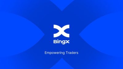 BingX Yardım Kuruluşu, Balina ve Yunusları Koruma (WDC) ile İş Birliği Yapıyor