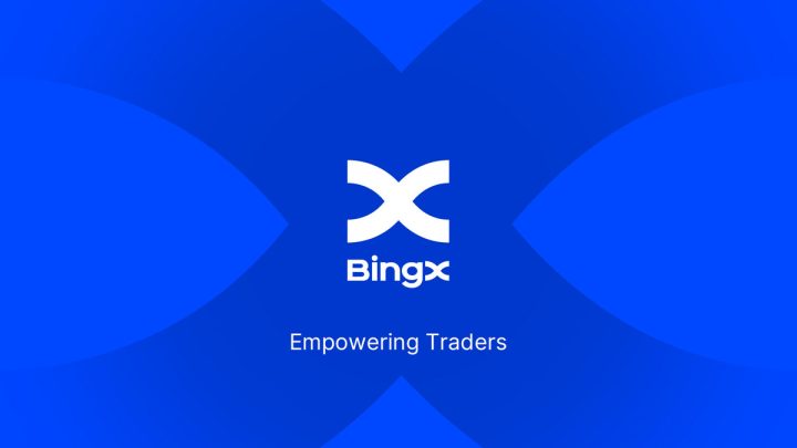 BingX Yardım Kuruluşu, Balina ve Yunusları Koruma (WDC) ile İş Birliği Yapıyor