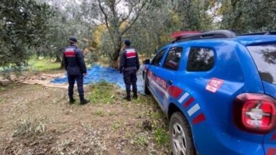 ÇİFTÇİNİN EMEĞİNİ ÇALMAYA GELENLERE JANDARMA GÖZ AÇTIRTMADI!