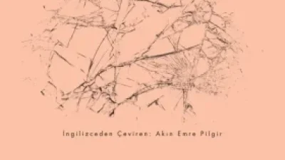 WILLIAM I. ROBINSON’UN ÇOK YÖNLÜ YAKLAŞIMIYLA “KÜRESEL KAPİTALİZM ve İNSANLIĞIN KRİZİ” ADLI ÇALIŞMASI RAFLARDA!