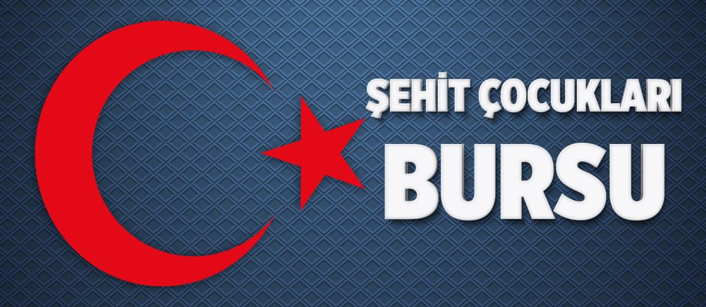 Şehit çocuklarına %100 burslu dil eğitimi