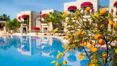 Bodrium Hotel & SPA Misafir İlişkileri Müdürü Daniela Petritz:  “Misafirlerimize Kişiye Özel Tatil Deneyimi Yaşatıyoruz”