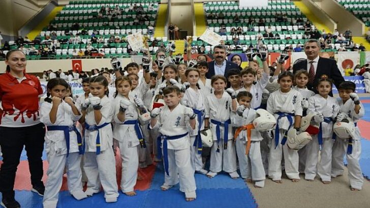 YILDIRIMLI KARATECİLERDEN 50 MADALYA