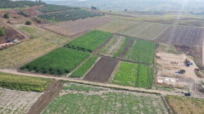 NİLÜFER’DE TARIM VE KOOPERATİFÇİLİK İÇİN YENİ BİR MODELE DOĞRU