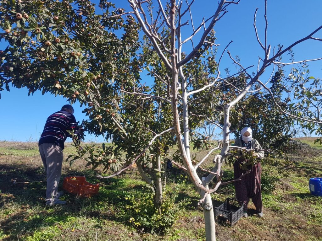 DEDELERİN HAYAT MÜCADELESİ; Ekonomik Zorluklar Yaşlı İşçileri Ölüme Sürüklüyor.